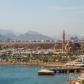 Exploring Sharm El Sheikh’s Herbal Wonders